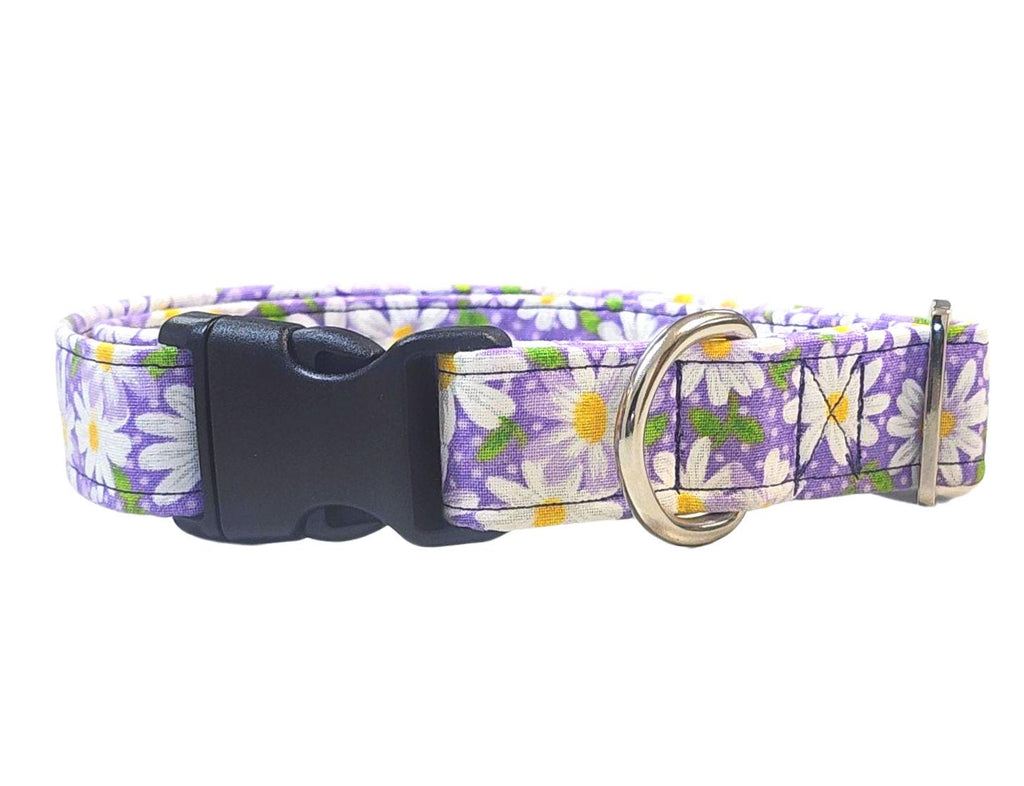 Purple Dog Collar With Daisy