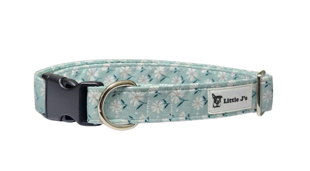 Teal Dog Collar