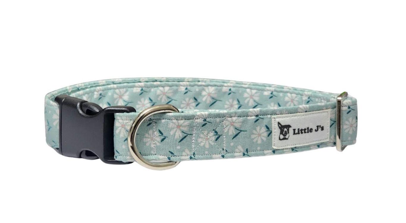 Teal Dog Collar