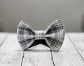 Gray Plaid Dog Bow Tie
