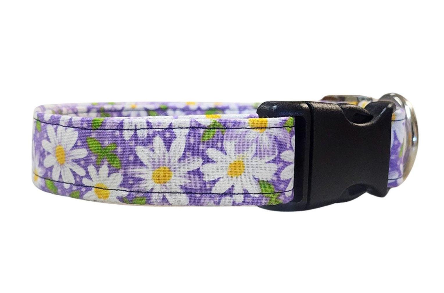Purple Dog Collar With Daisy