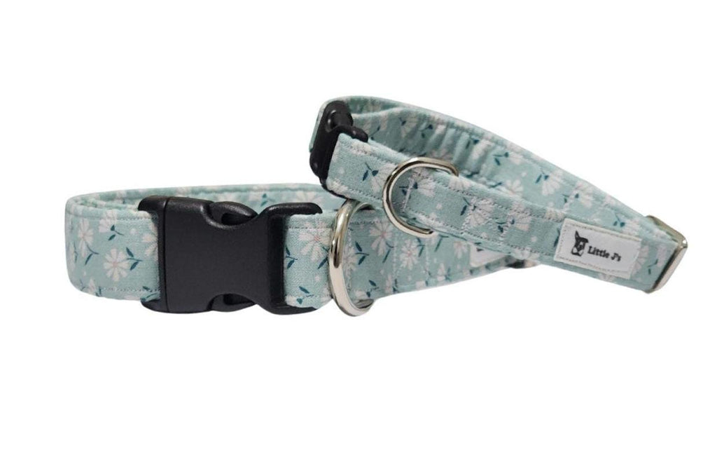 Teal Dog Collar