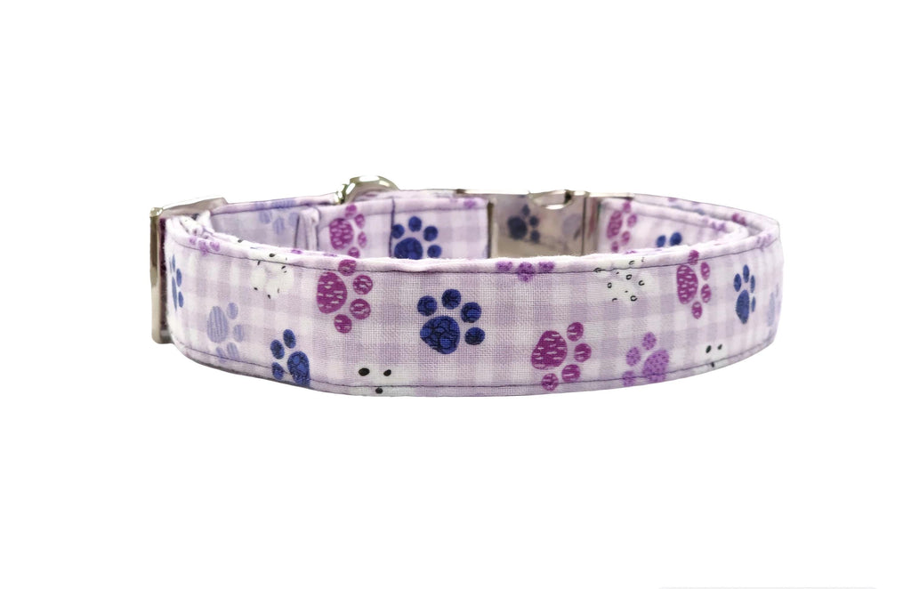 Purple Dog Collar With Paws