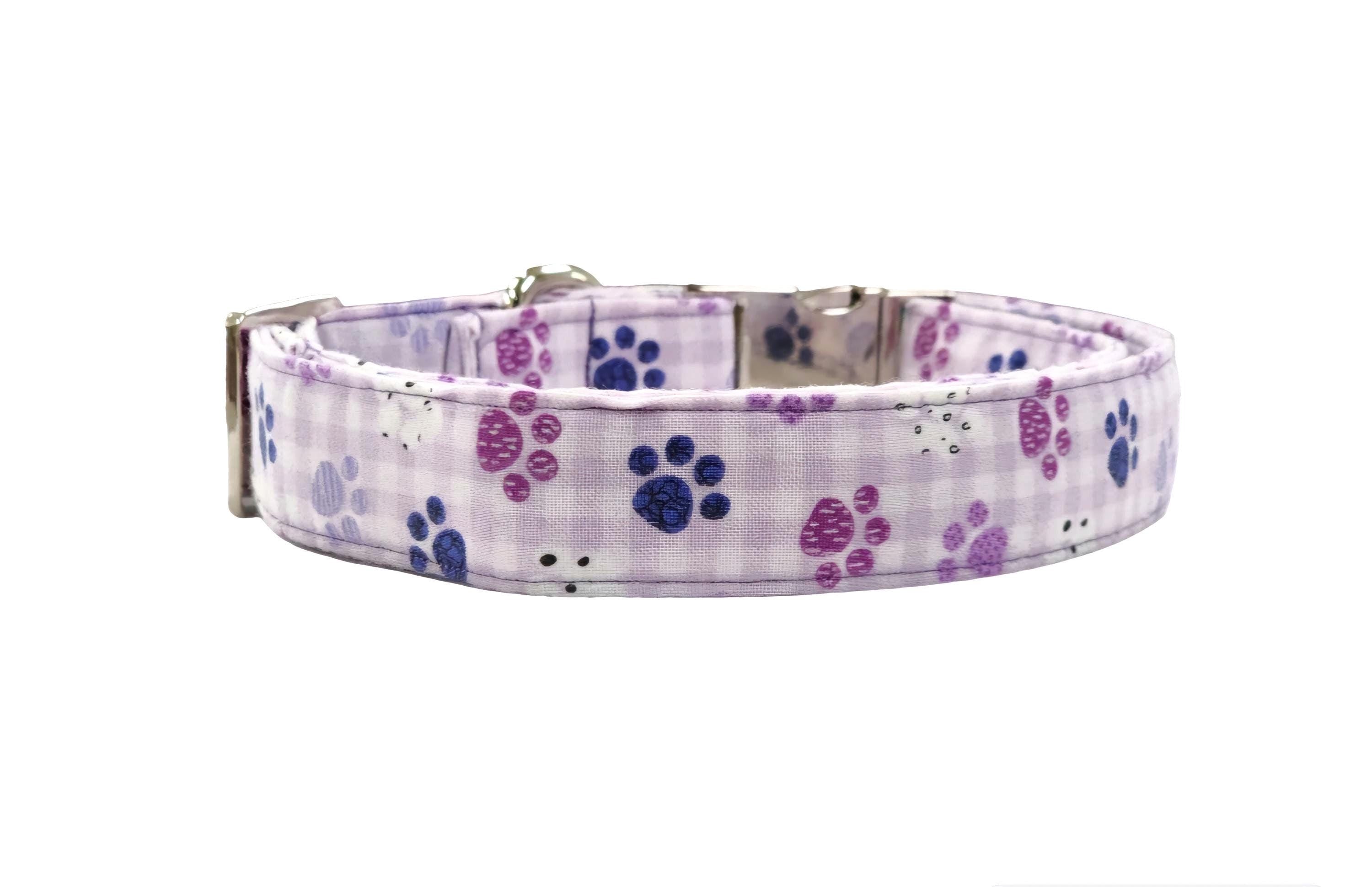 Purple Dog Collar With Paws
