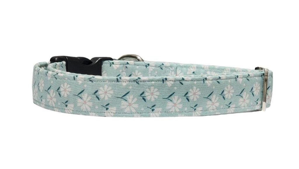 Teal Dog Collar