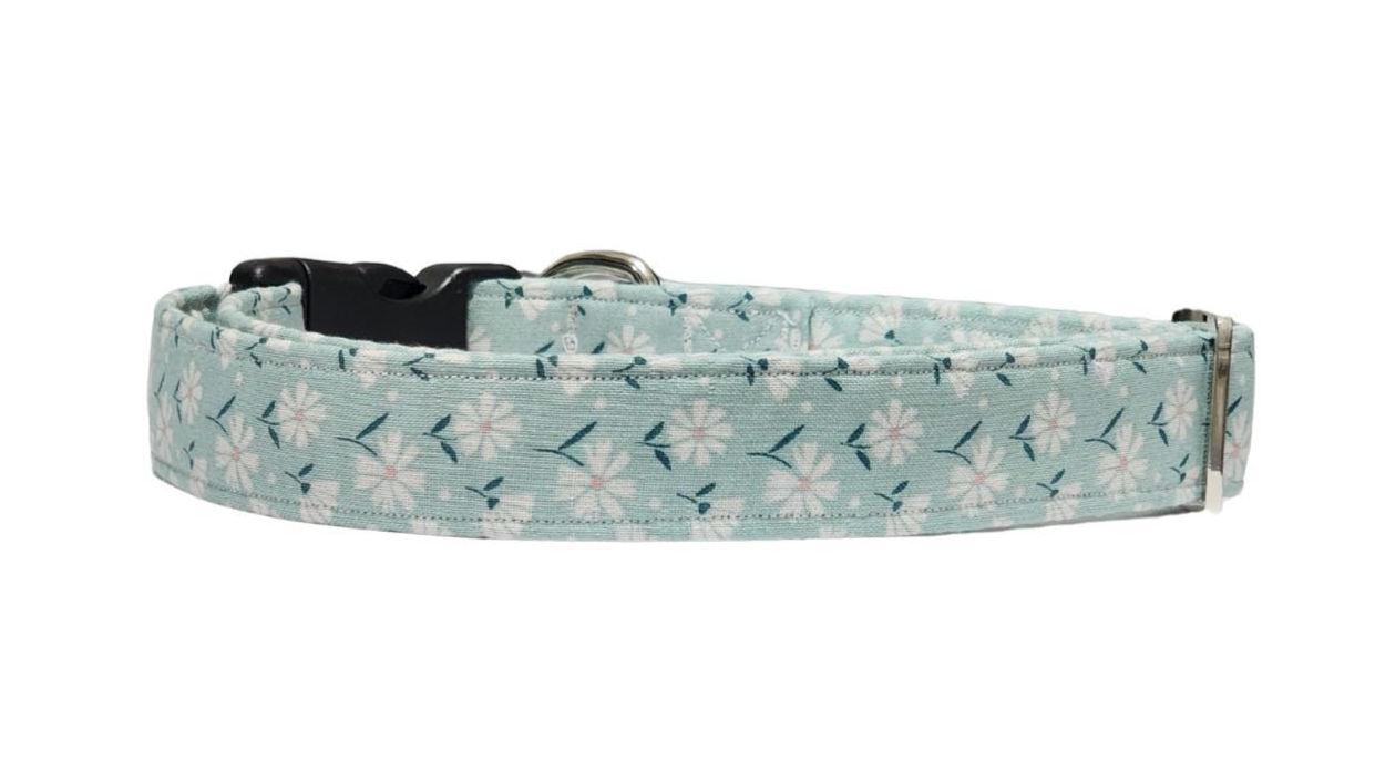 Teal Dog Collar