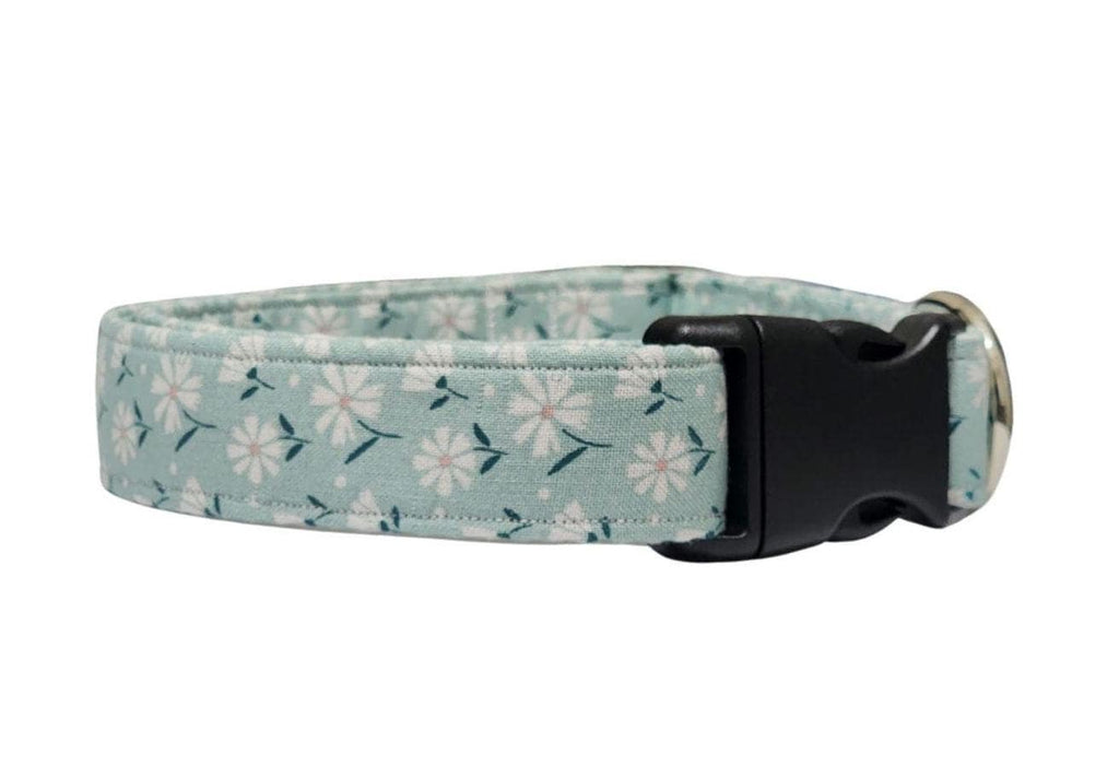 Teal Dog Collar
