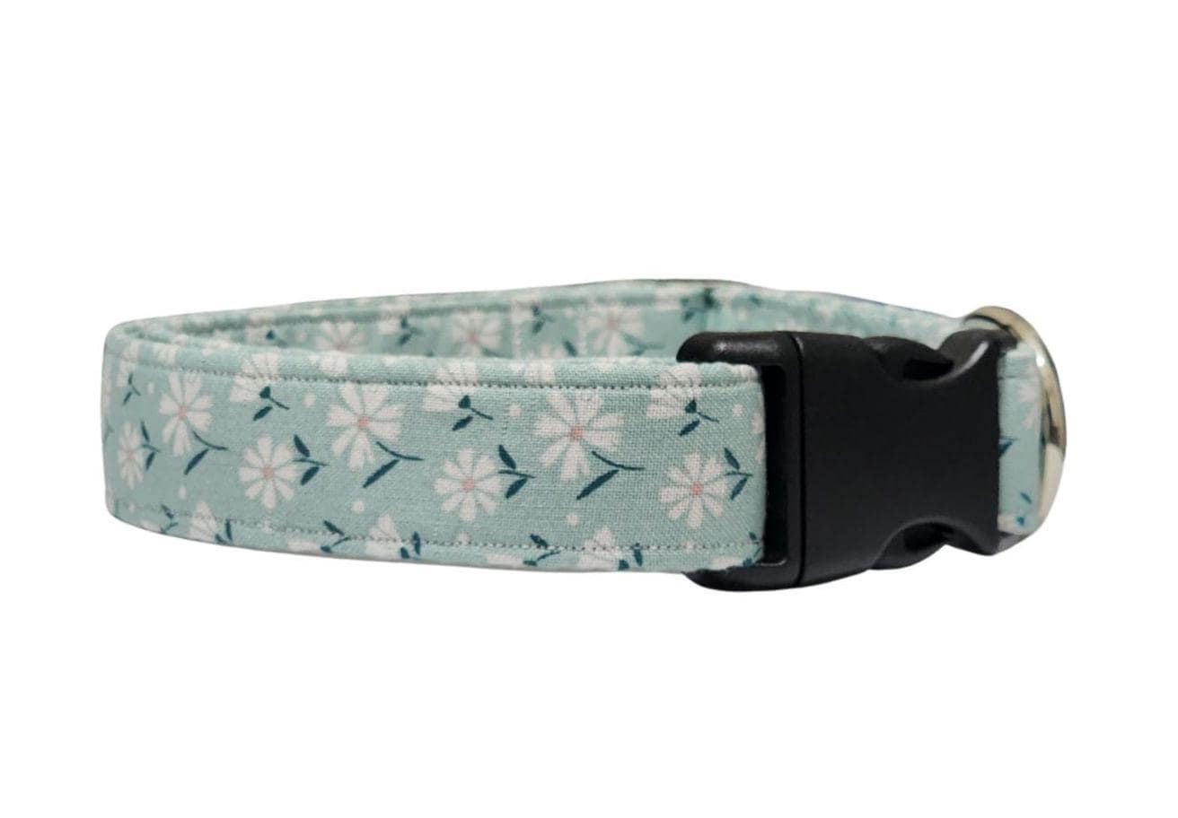 Teal Dog Collar